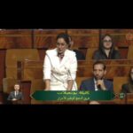 Kalila Bounaylat Instagram - مداخلتي اليوم بالجلسة العمومية للأسئلة الشفوية بمجلس النواب حول تجهيز سيارات الإسعاف والاستجابة لنداءات المرضى وعموم المواطنين