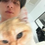 Kanawut Traipipattanapong Instagram - all about selfie🤳