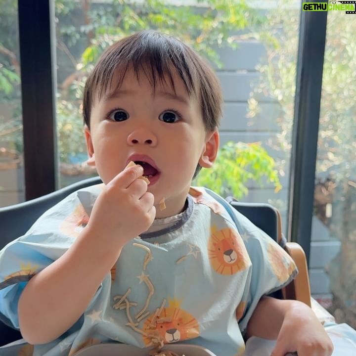 Kaneungnij Jaksamittanon - 3 Likes - เรื่องกินไว้ใจผมครับ พอหลังจากขวบนึงก็กินอาหารยากขึ้นเพราะผมรู้และผมเริ่มเลือก แต่ใดใดก็ยังโชคดีที่น้องคิดถ้าอาหารชอบก็คือกินเองและกินได้เยอะ #เรื่องกินไว้ใจผม #sumethandthebuswithourkidd