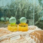 Kaneungnij Jaksamittanon Instagram - Blossoms Collection, scents that spread the joy for this season. Sunlit Cherimoya and Yellow Hibiscus are the perfect scent pairing.🍋💕 สงกรานต์นี้สาดตัวให้หอมด้วย Blossoms Collection หอมสดชื่น สดใสรับซัมเมอร์สุดๆไปเลย ⛱☀️ ถึงสิ้นเดือนนี้เท่านั้น @JoMaloneLondon #JoMaloneLondonTH #BrilliantBlossoms