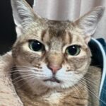 Kang Daniel Instagram – 😽