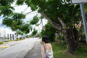 Kang Mi-na Instagram - in Garapan🌴