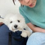 Kang Mi-na Instagram - 예뻐라 내 새꾸🩵
