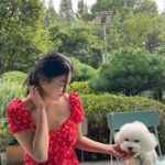 Kang Mi-na Instagram - 2021년은 저에게 있어 도전을 많이한 해였습니다. 그동안 이것 저것 해보고 싶다 생각만 해왔던 것들 중에 하나씩 해보고 취미도 만들어가고요. 그리고 사랑하는 가족도 생겼습니다🐶많은 걸 이루진 못했지만 도전하고 경험한 것만으로도 뿌듯하고 벅찬 해였던 것 같습니다. 한 해를 돌이켜보니 답답하고 힘듦도 많고 다사다난 했지만 그래도 그 속에서 행복했습니다🤍모두 몇 시간 안 남은 2021년 무사히 보내시고 새해 복 많이 받으세요🤍