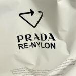 Kang Mi-na Instagram - Prada’s Re-Nylon is regenerated nylon created through the recycling and purification of plastic collected from the ocean. #PradaReNylon #Prada #ad 🤍🖤🐬