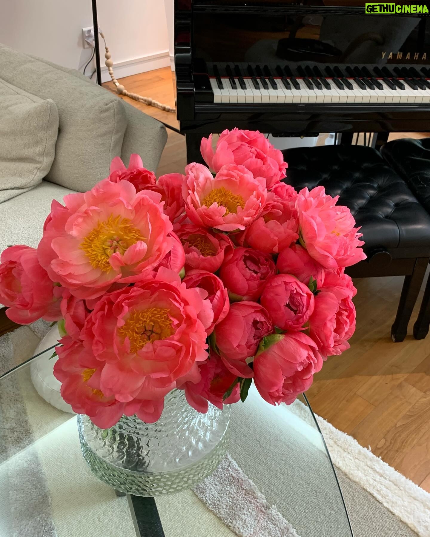 Kang Min-kyung Instagram - 어제 부산에서 무대 마치고 서울에 도착하니 새벽 한 시 더라고요. 올라오는 열차 안에서 왜 그리도 작약이 보고 싶은지 피곤할 새도 없이 집에 도착하자마자 시동을 걸고 꽃 시장에 다녀왔어요. 얼굴이 제일 큰 작약으로 원 없이 사 와야지 작심하며 한 시간 남짓한 시간 동안, 장날이라 복작복작한 꽃 시장을 휘적이는데 아니 글쎄 너어무 좋았던 거 있죠.. 헤헷… 행복하다아.. 🍑💭