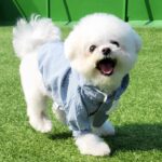 Kang Min-kyung Instagram - 막간 딸 자랑