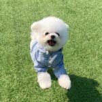 Kang Min-kyung Instagram - 막간 딸 자랑