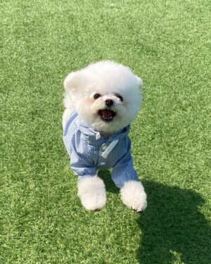 Kang Min-kyung Instagram - 막간 딸 자랑