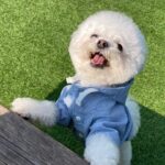 Kang Min-kyung Instagram - 막간 딸 자랑