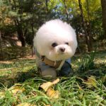 Kang Min-kyung Instagram - 막간 딸 자랑