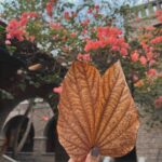 Kanika Mann Instagram - देखो हैं तो बहुत से क़िस्से , तुम वो रख लो जो हैं तुम्हारे हिस्से 🌈