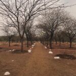 Kanika Mann Instagram - देखो हैं तो बहुत से क़िस्से , तुम वो रख लो जो हैं तुम्हारे हिस्से 🌈
