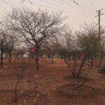 Kanika Mann Instagram - देखो हैं तो बहुत से क़िस्से , तुम वो रख लो जो हैं तुम्हारे हिस्से 🌈