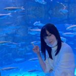 Kanna Hashimoto Instagram - こんにちは！環奈MGです。 今日はネメシスのオフショットをシェアします。 #橋本環奈 #橋本環奈2021 #橋本環奈マネージャー #ネメシス #夜の水族館