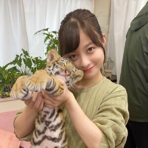 Kanna Hashimoto Instagram - こんにちは！環奈MGです。

今夜７時は「I LOVE みんなのどうぶつ園」です。

#橋本環奈 #橋本環奈2020 #橋本環奈マネージャー #iloveみんなのどうぶつ園 #トラ