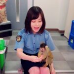 Kanna Hashimoto Instagram - ㊗️１００万人突破記念㊗️ 警視庁いきもの係。 #橋本環奈 #橋本環奈2019 #橋本環奈マネージャー #環奈MGinstagram100万人フォロワー様突破記念 #いきもの係