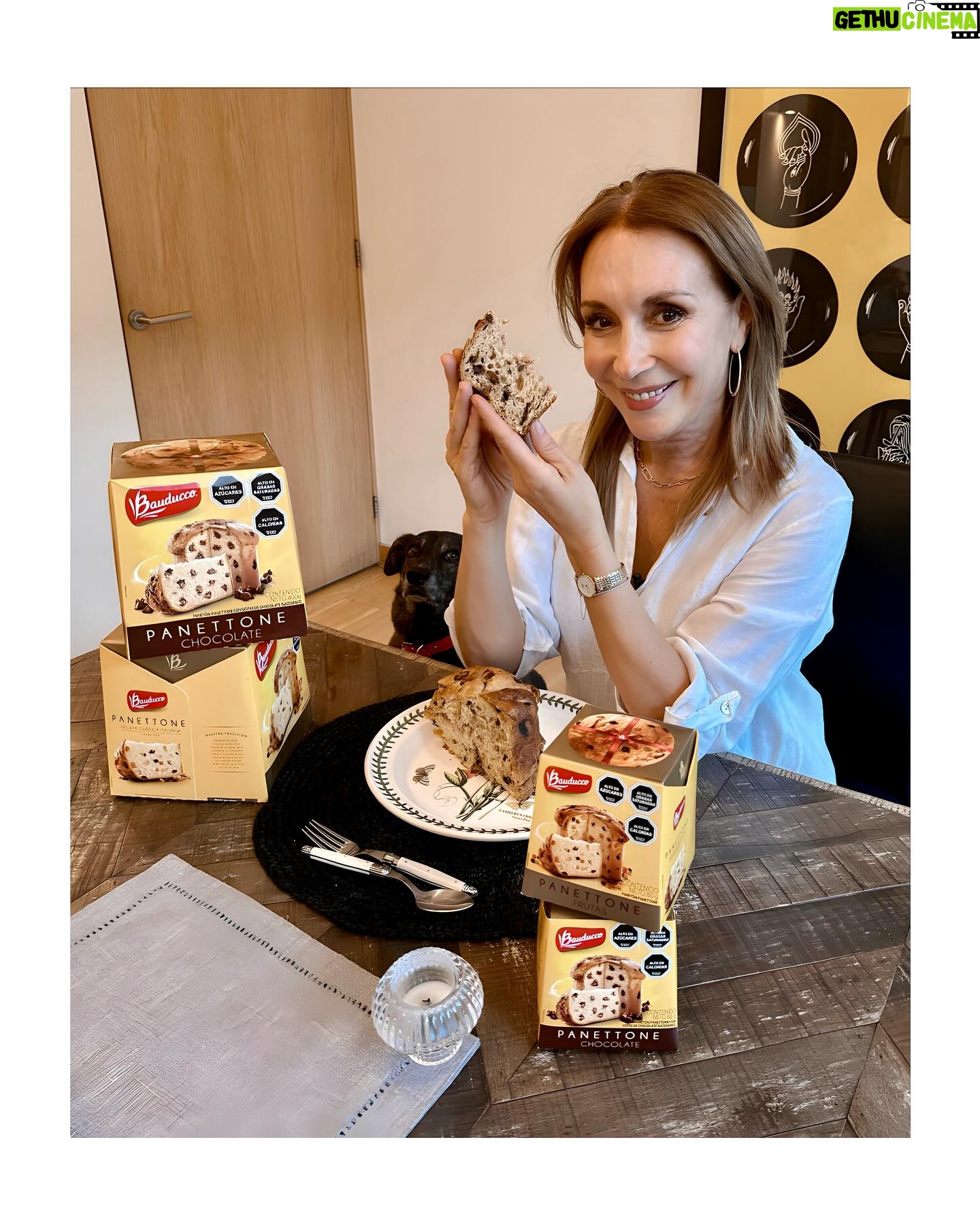 Karen Doggenweiler Instagram - La tradici贸n de tu mesa para esta Navidad junto a los #Panettone de masa madre de @bauducco.cl 鉂わ笍馃挮 #SentimientoDeFamilia #Bauducoo #ad