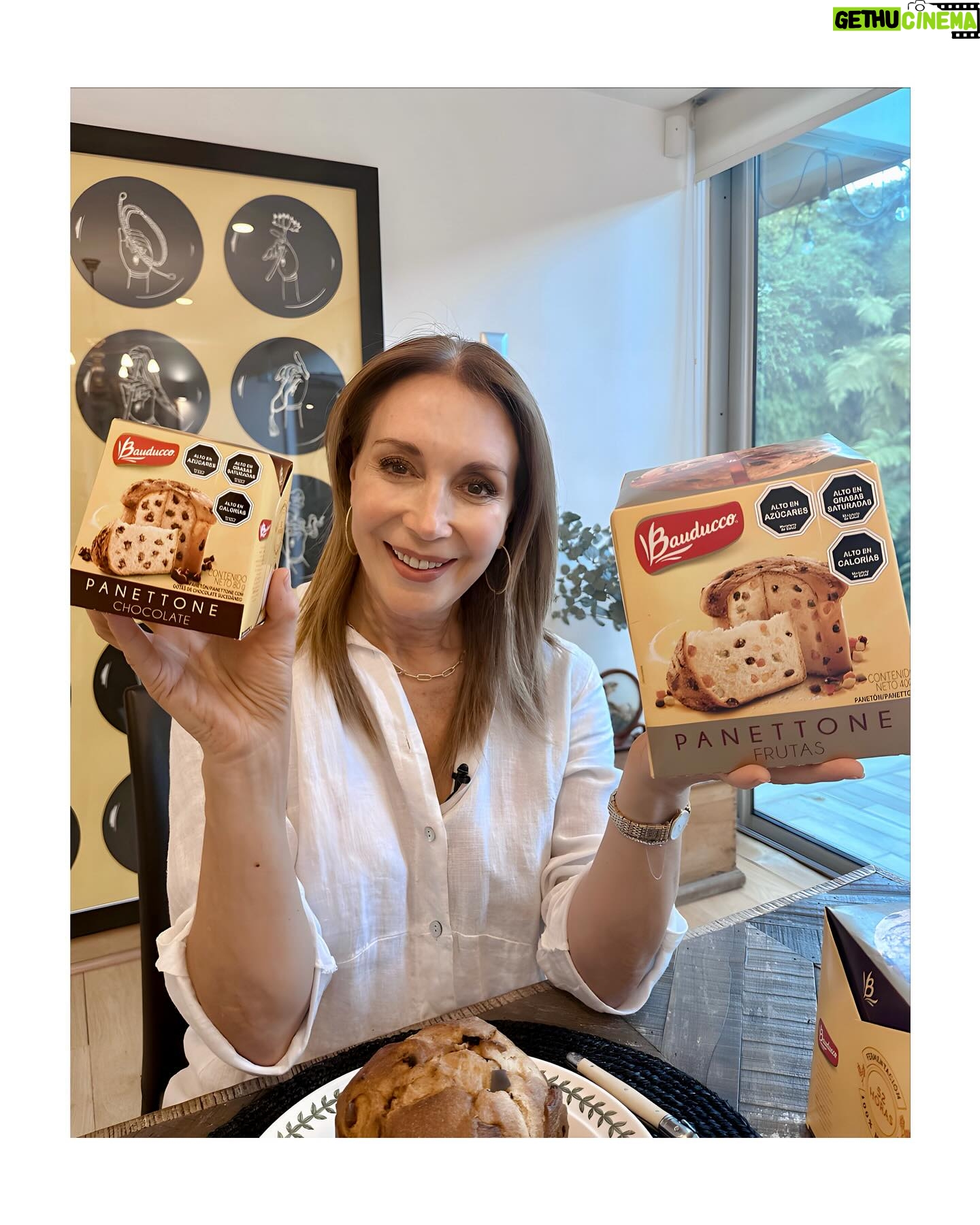 Karen Doggenweiler Instagram - La tradici贸n de tu mesa para esta Navidad junto a los #Panettone de masa madre de @bauducco.cl 鉂わ笍馃挮 #SentimientoDeFamilia #Bauducoo #ad