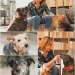 Karen Doggenweiler Instagram - Lo mejor del fin de semana es poder compartir más tiempo con mi familia y mis inseparables #Benito y #Loló 🩵🐶 #AdoptaNoCompres 🐾 Fotos de @danielajas_com para revista @tvynovelascl