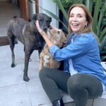 Karen Doggenweiler Instagram - Como saben, #Loló y #Benito son muy importantes dentro mi familia 🐾 Y hoy recibí estos impresionantes retratos de ellos que esperaba con ansias, realizado por el gran artista @homenaje.mascotas quien trabaja sus obras bajo la técnica de retrato a carbón a mano alzada sobre hilado… Realmente tremendos dibujos que mandaré a enmarcar! Los invito a seguirlo para conocer más de su trabajo y arte ❤️🐶