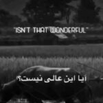 Katayoun Riahi Instagram - . میدانید تمام این داستان در یک کلمه تجلی دارد. آن کلمه را میشناسید؟ راهنمایی؛ این کلمه عربی است. و اگر معادل فارسی آنرا می دانید سپاس گزار می شوم که بیاموزم 🙏 لطفاً جواب ها در استوری ارسال شود (از پاسخ های زیبای همگی سپاس گزارم و منظورم "توکل" بود که در این روزهای آزمون جهانی کرونا بسیار بکار می آید! کاری که کشاورز می کند توکل است و توکل وقتی بواقع اتفاق می‌افتد که ایمان داشته باشیم حکمتی در کار است. در آغوش امن توکل و سلامت باشید )🙏🕊