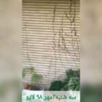 Katayoun Riahi Instagram - . طبیعت هوشمند است هستی خردمند عالم دادوند وظیفه ما آگاهی است #عالم_هستی #انسان#طبیعت
