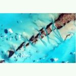 Katayoun Riahi Instagram - . بعد از سالها،احساس می کنم حالم خوبه! حس می کنم سالهایی که در طلب حقیقت، عشق راستین،گسترش مهر، اتصال به هستی خردمند،پیروزی نور و.... درست بوده و هست. همه آنهایی که سال‌ها با ریشخند نگاهم کردند یا مرا بخاطر صداقتم ابله فرض کردند و...احساس خوب برنده حقیقتی را دارم که هزاران سال است منتظر است. هرگز مهر و راستی انتخاب دومم نبوده 🦄 چه خوبه جهانی که نیازی به دهکده آرمانی و بنیاد کمک نداشته باشد. شازده‌کوچولو غربت تمام شد 🐬 #عصر_طلایی #آکواریوس #جهان_هستی #مراقبه_ذهن #katayounriahiofficial7 #کتایون_ریاحی