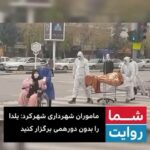 Katayoun Riahi Instagram – با گرمای مهرورزی و قدردانی روز پرستار و شب یلدا را زیبا بگذرانیم  #روزپرستارمبارک #آخرین یلدای قرن هـ ش ‌‌#درخانه_میمانیم #ستاره_کریسمس #کادر_درمان