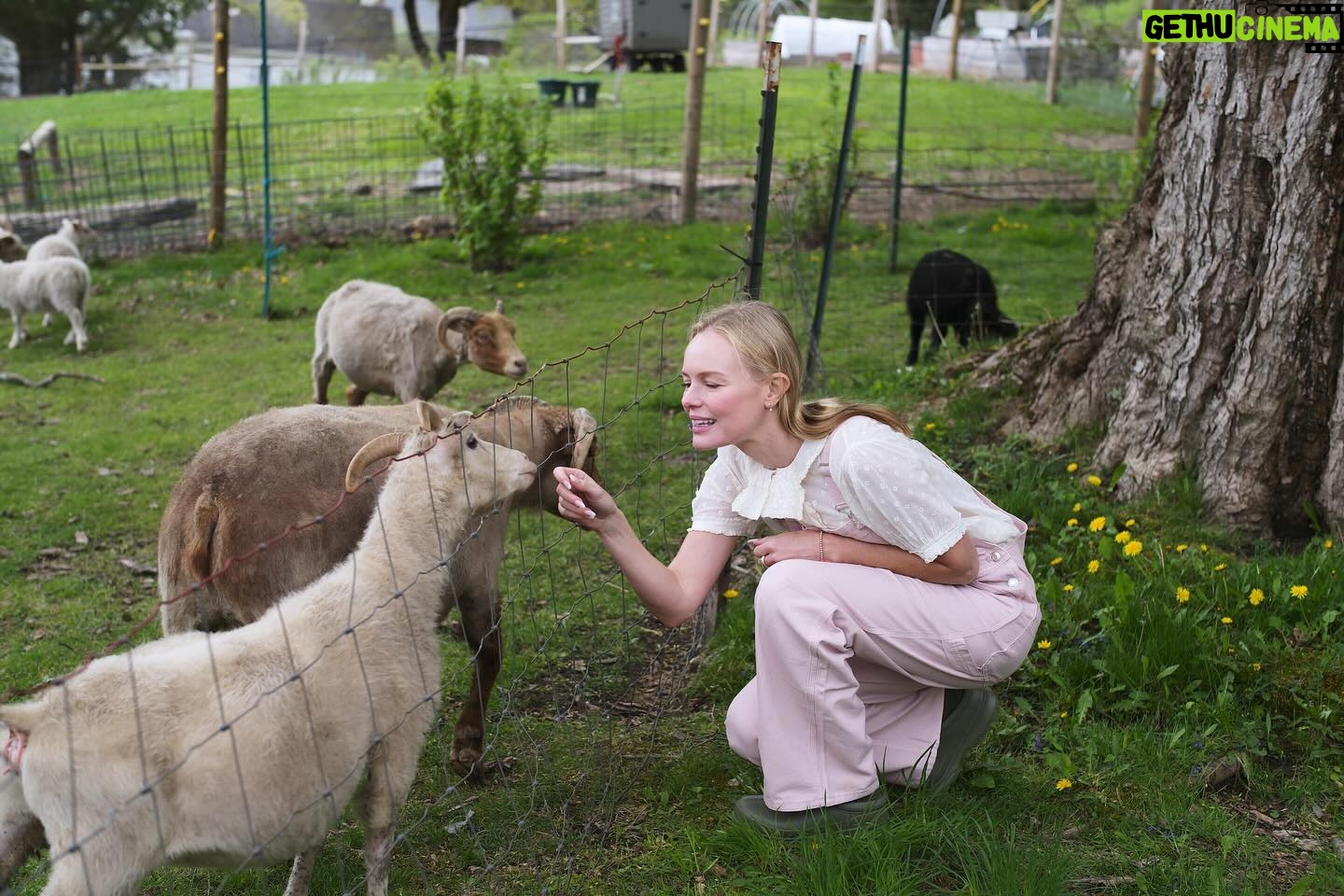 Kate Bosworth Instagram - Greeting today with the warmth and the radiance of an awakened heart. 💛 “No one can possibly know what is about to happen: it is happening, each time, for the first time, for the only time.” I hope you are all experiencing the miracle and the wonder of a new year… thank you for sending love to me on mine. ✨🎈