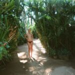 Kate Bosworth Instagram – Some summer moments 🌞🏝 staying fit, happy   healthy thanks to @emsculptneo @stephwatsonhealth 🙏🏻
……………………

@btlaesthetics 
#EmsculptNeo
#EmsculptPartner