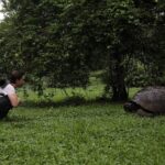 Kate Bosworth Instagram – Ever since we met, I have heard you say two words, many, many times: Galápagos Islands. I know from your mother that, as a little boy, you used to study images in books from a land far, far away… and you would dream of visiting that place one day: one of tortoises and iguanas and sea lions and penguins. Colors of sea life that make up underwater rainbows, and countless star fish lining the ocean floor, a marine constellation. 

Watching you experience your childhood dream these last few weeks has been the greatest honor Hansee 💛🐢🇪🇨 Our world is better and brighter for your endless curiosity, your willingness and drive to seek and explore, your profound empathy for our planet’s creatures, your shining exuberance for life, and your deep, deep ability to love. Every morning I am filled with excitement to open my eyes because I know they will greet my favorite smile and every evening, I fight sleep because I never want to leave you and the joy we experience in the day, even to the dream world :) ✨ To know you is to love you Justin Jakob. You are my Christopher Robin forever. You make life better. You make me better. HAPPY BIRTHDAY @justinlong 🎂🌻🎈!!! *and don’t worry, you may have ticked off a top bucket list experience, but please trust, we’re just getting started on this big, beautiful adventure. I love you 🌍 xo