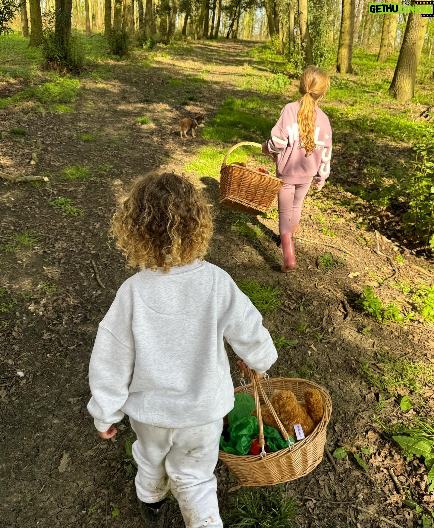 Kate Wright Instagram - A fabulous Easter weekend spent @wildernessreserve π§Έ bear hunts π§ wild lake swim π₯Ά π² bike rides π€ family time Thereβs something about being in the country I just love π³π¦π«ππΏ