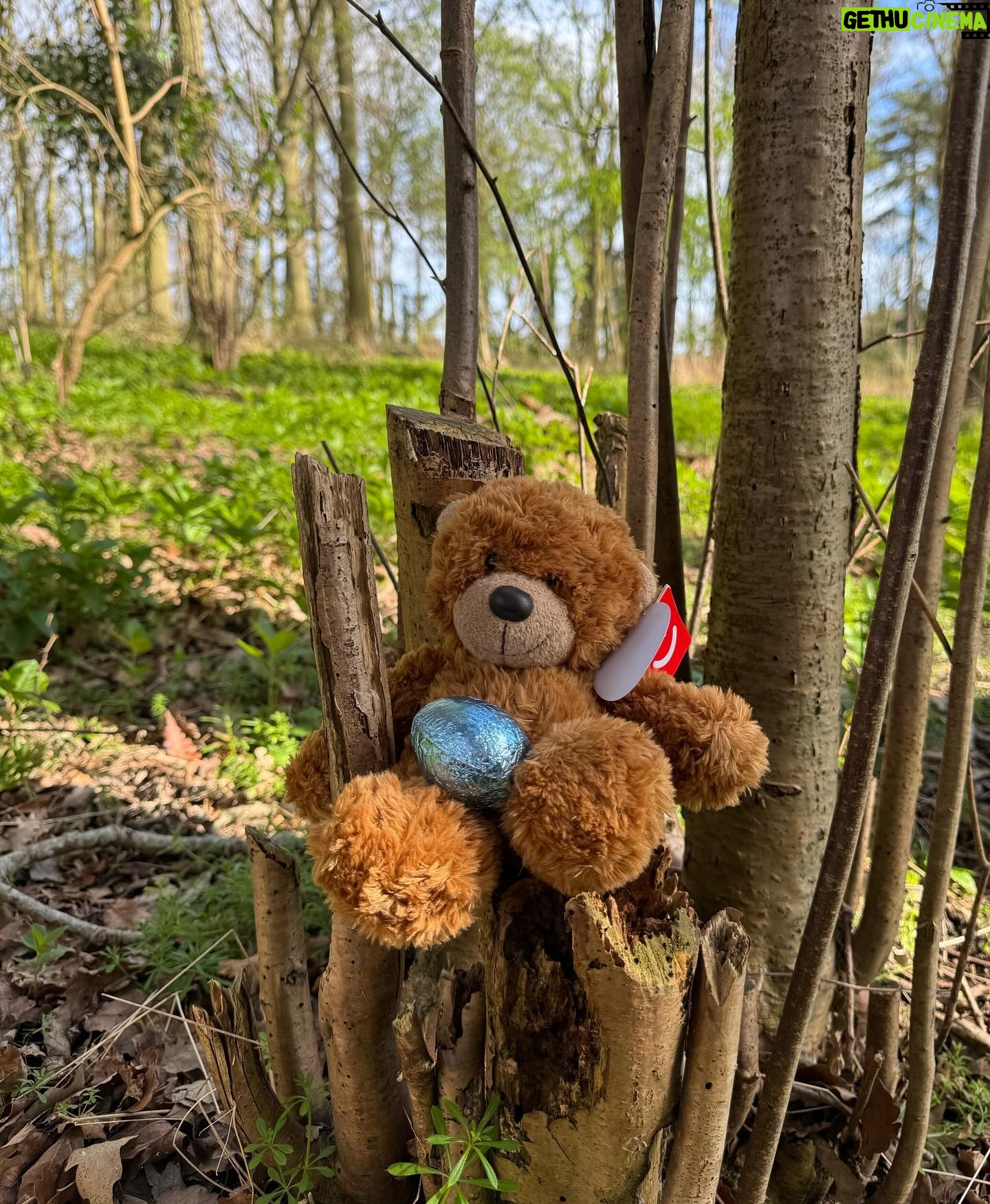 Kate Wright Instagram - A fabulous Easter weekend spent @wildernessreserve π§Έ bear hunts π§ wild lake swim π₯Ά π² bike rides π€ family time Thereβs something about being in the country I just love π³π¦π«ππΏ