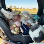 Katee Sackhoff Instagram - Drives going great! 😂 #toddleractivities #oregonbound