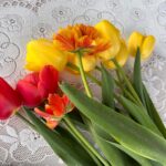 Kateryna Osadcha Instagram - Random photo Random blooming ….
