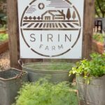 Kathaleeya McIntosh Instagram - Cafe Sirin จะ soft opening วันที่ 28 มีนาคม นี้แลัวค่ะ ❤️🙏🏼 Cafe Sirin our farm to table concept on the farm soft opening on 28th March. See you soon🙏🏼❤️ @sirinfarm