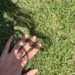 Katherine Langford Instagram - earth month edition 🍃