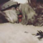 Katherine Moennig Instagram - Asking her forgiveness after going back to work for the first time in 2020