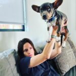 Katherine Moennig Instagram - Puppy jail