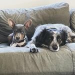 Katherine Moennig Instagram - Sisters