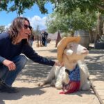 Katherine Moennig Instagram - Meeting Mr Mayor
