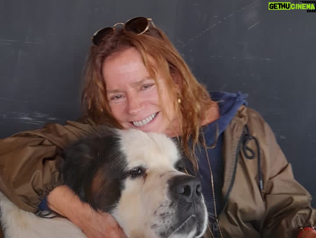 Katherine Salosny Instagram - Entre colegas nos ayudamos ven a conocer este nuevo restaurante y rincón de encuentro @terrazamirasol lindo y acogedor comida chilena CHILENA!! Están en marcha blanca en Camino del medio km 2 Mirasol Algarrobo Reserva al 56985709633 Recomendado por mi @casatunquen jajaj Con mis amigos @aftchile @ariel.ulloac @whoisernan