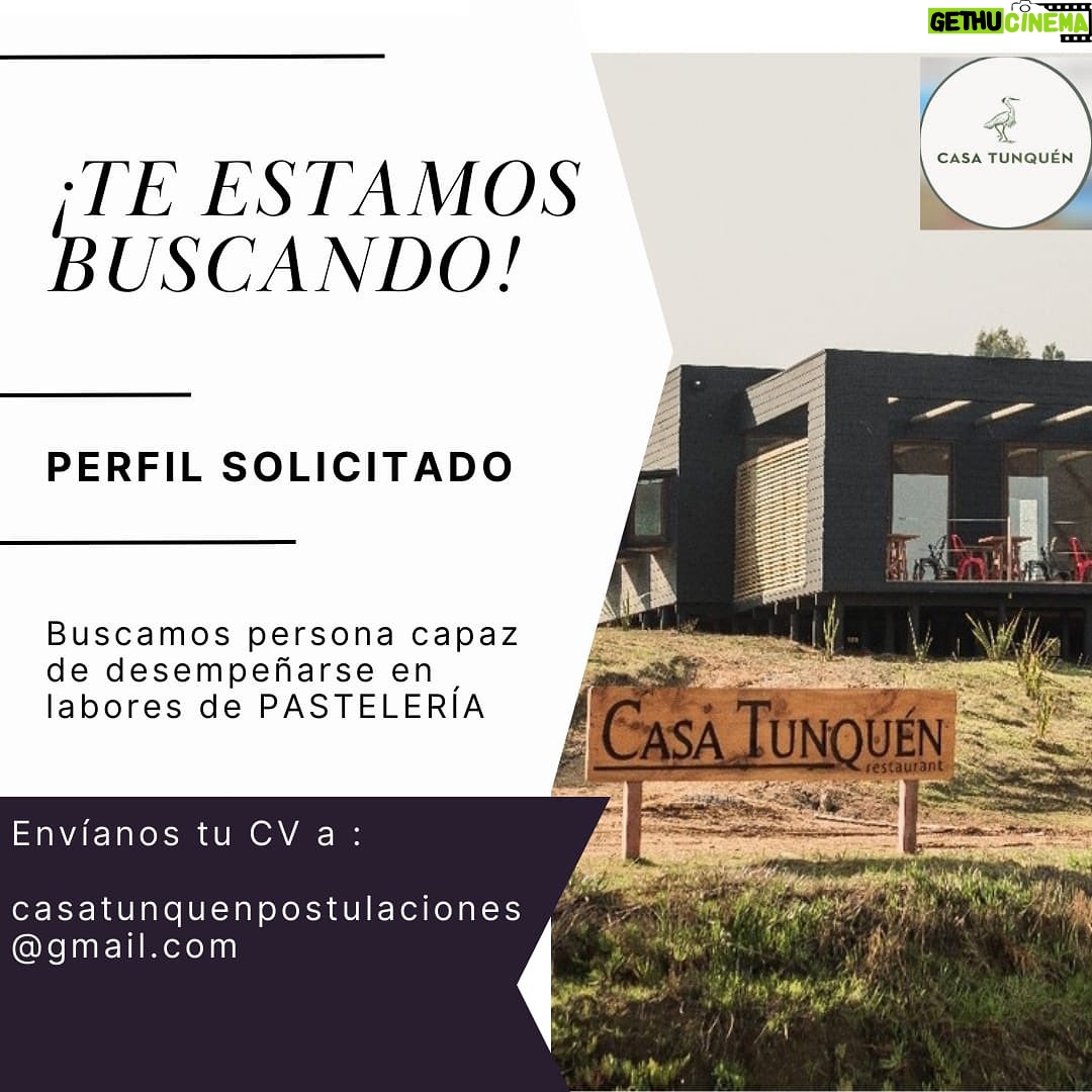 Katherine Salosny Instagram - Te estamos buscando! Si quieres ser parte de nuestro equipo ahí están los datos.