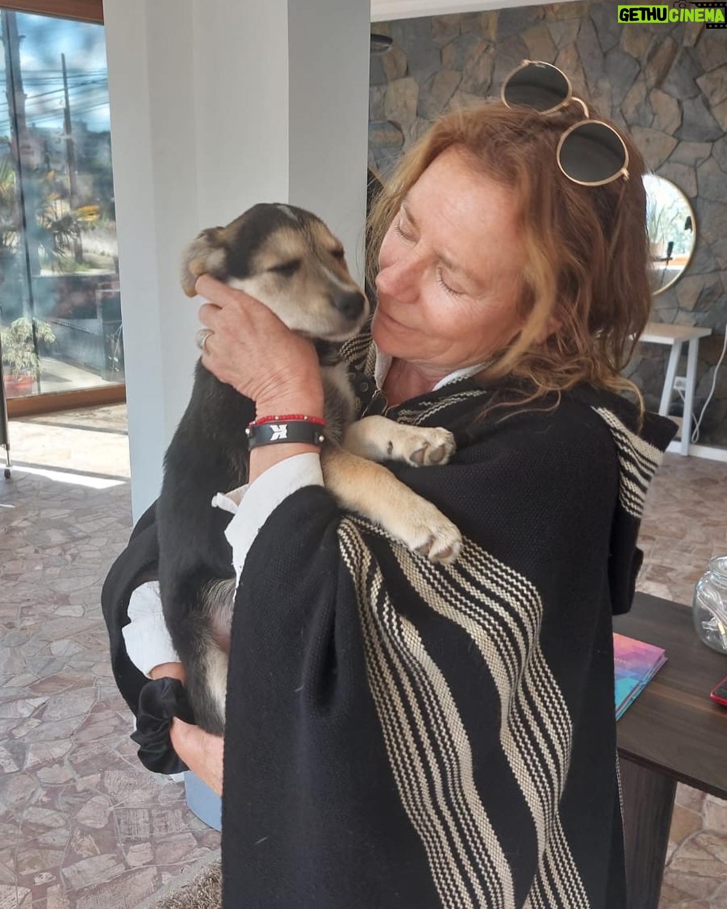 Katherine Salosny Instagram - Mi bella @alba_peluda me recibe con tanto amor en la @peluqueriaorganicaocs by Kathy Salosny..somos animal friendly!! Reserva tu hora 56443576743 56988405235 Santa Teresita 2175 Date un gusto!!!