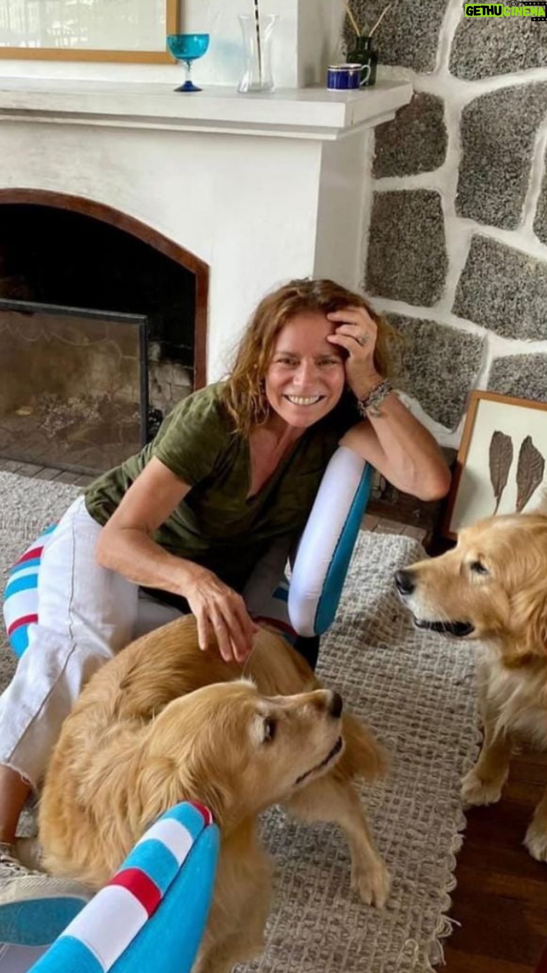 Katherine Salosny Instagram - Estoy muy contenta con el rechazo de este proyecto de ley. Creo que no era un buen proyecto, era casi volver al pasado. El rechazo es un llamado a tomar conciencia de nuestras mascotas, y un claro aviso a nosotros, como seres humanos, a encontrar otras soluciones para evitar el daño que una jauría de perros pueda causar. Busquemos juntos otras mejores formas de ejercer su control. ¿Qué piensas tú?.
