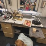 Kathryn Newton Instagram - Night and day