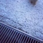 Katia Peel Instagram – 😍 #cuteanimals #adorablepets #adorablebunnies #adorable #cutepets #dog #puppy #puppies #funnypets #cutebunny #happy #funfunfun #loveanimals #awesome #cutest