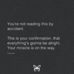 Katie Cassidy Instagram - Words I love by @thelovechange 🖤