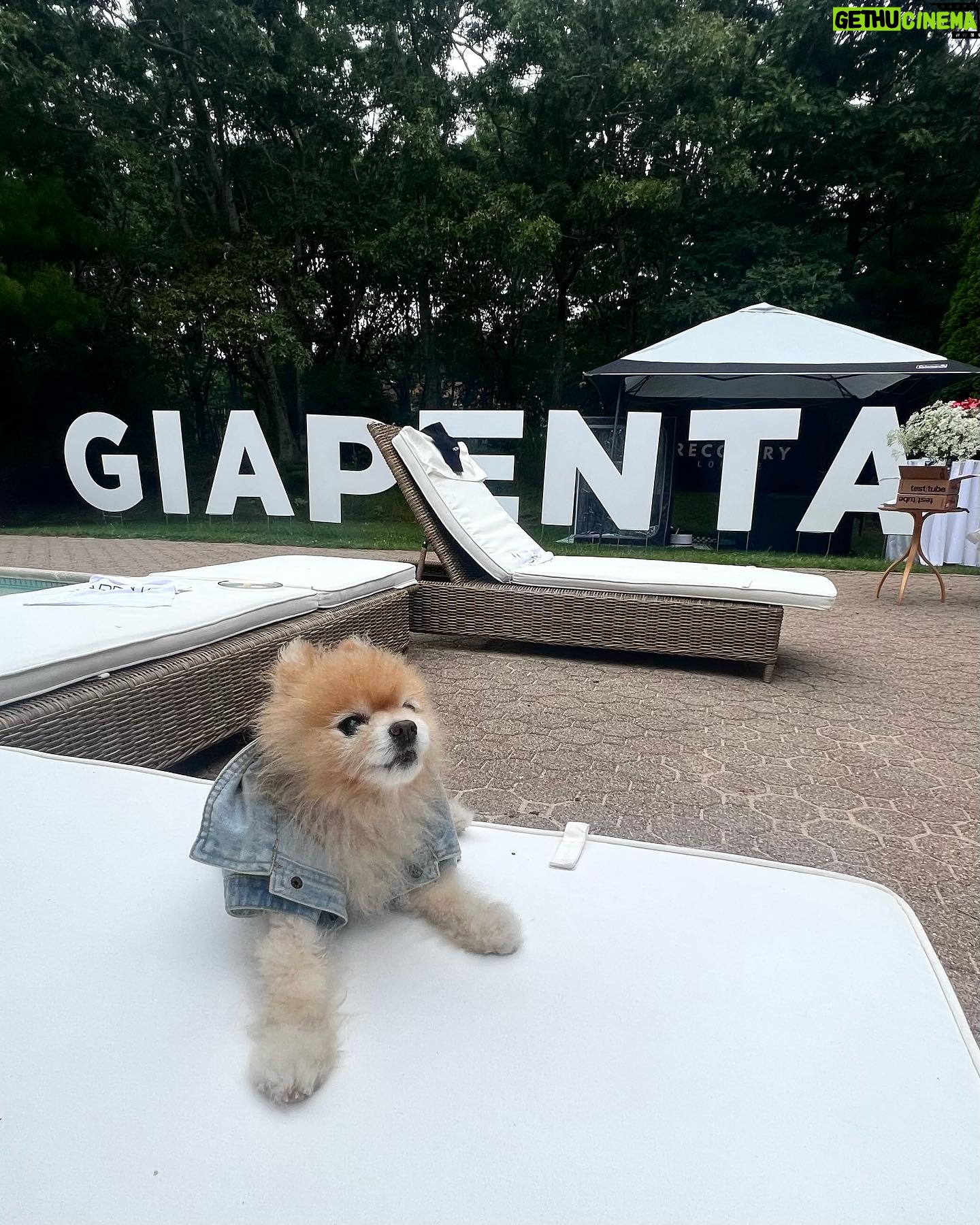 Katie Cassidy Instagram - Wellness weekend in The Hamptons with @giapenta 😍 Soaking up all the girl (and puppy) time! Thank you so much for having me!!!